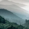 Láminas-Hannun Lámina Nature